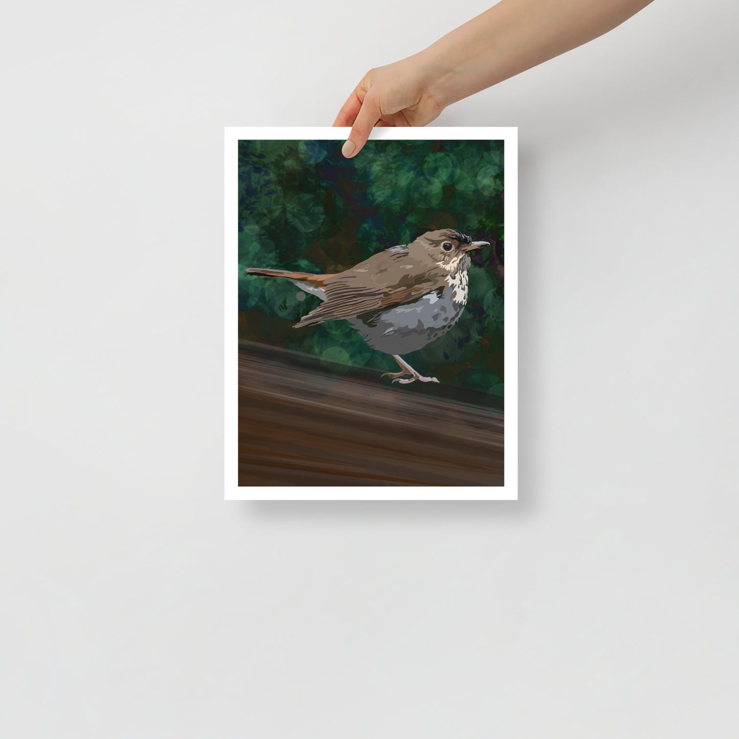 Spirit Birds | Enneagram Type 5 | Hermit Thrush | Unframed Poster Art