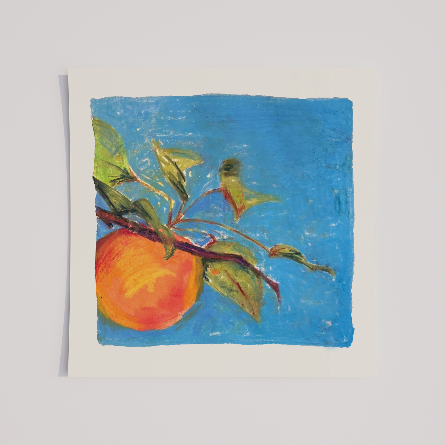 "Apricot #2" Print